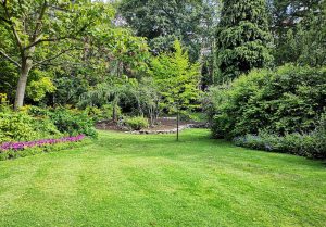 Optimiser l'expérience du jardin à Avremesnil
